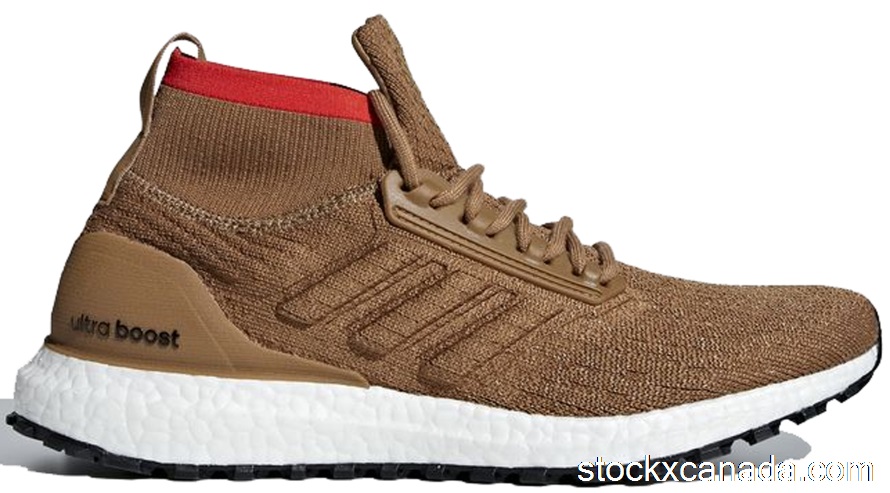 CA adidas Ultra Boost All Terrain Raw Desert CM8258