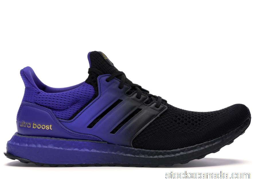 CA adidas Ultra Boost DNA Black Purple FU9993